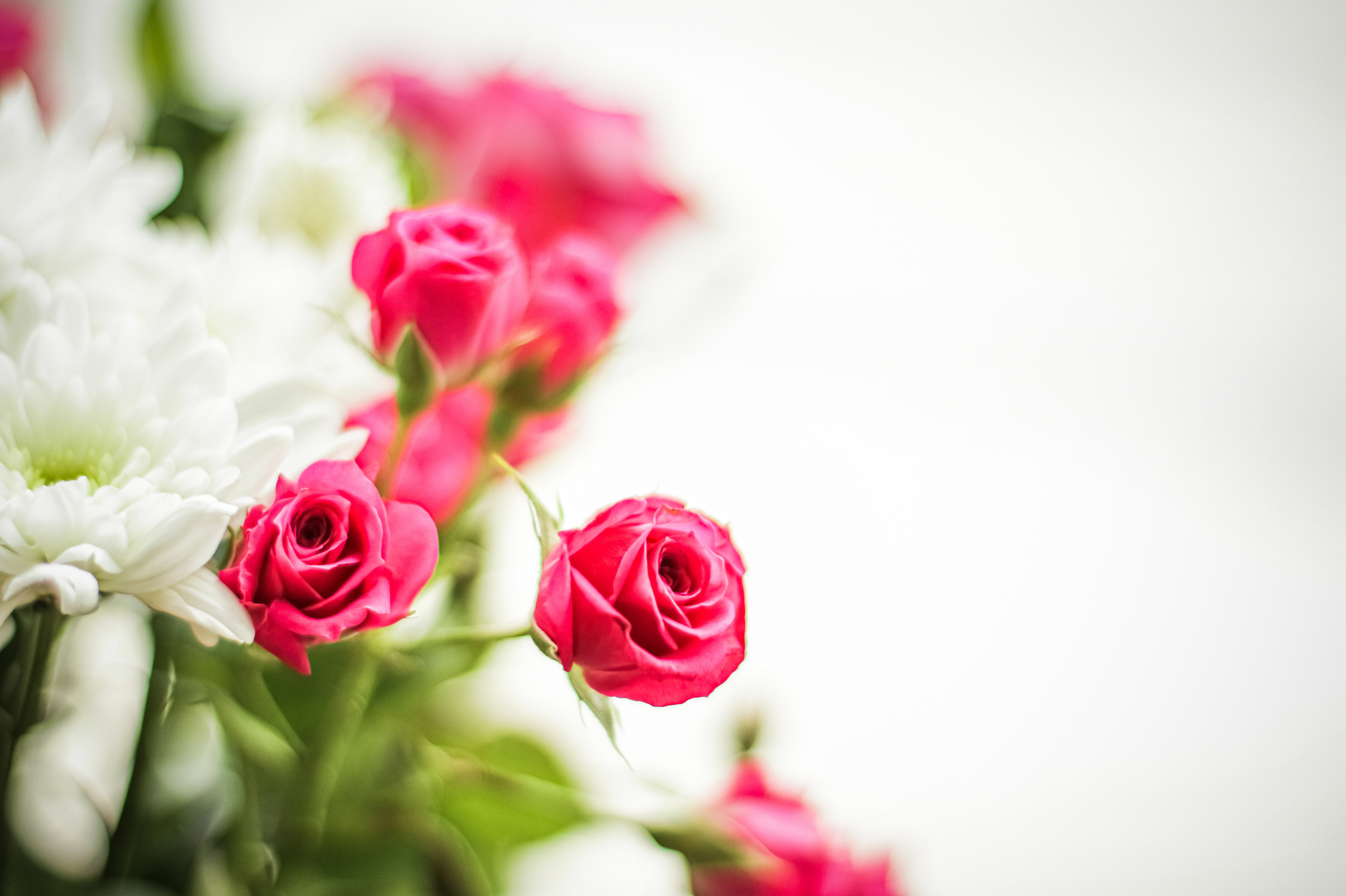 Immagine che raffigura Quattro Comuni in cammino contro la violenza sulle donne