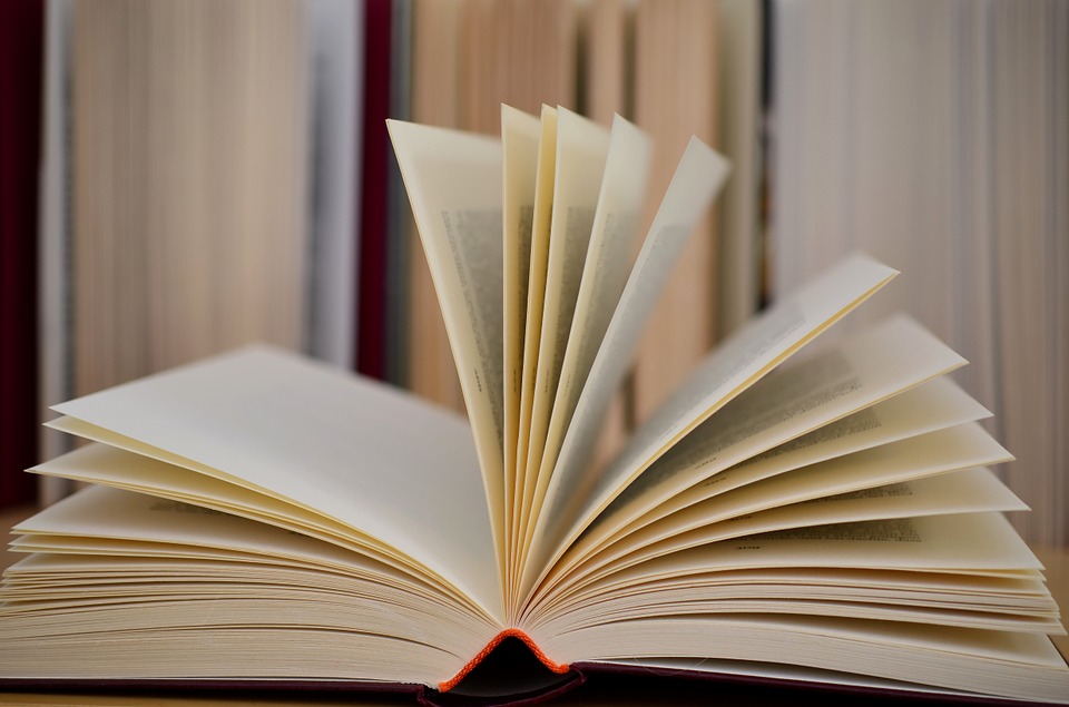 Immagine che raffigura Biblioteca chiusa