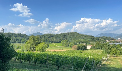 Immagine che raffigura Parco rinascita