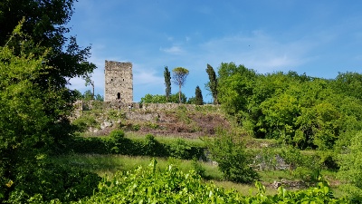 Immagine che raffigura Torre del colle San Geminiano